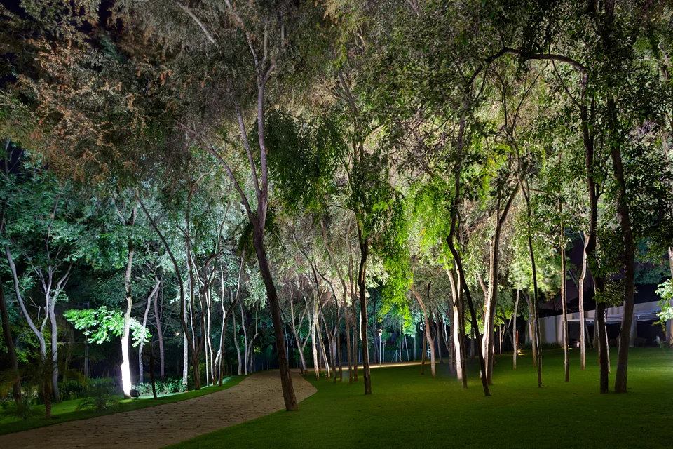 Iluminação de Paisagísmo