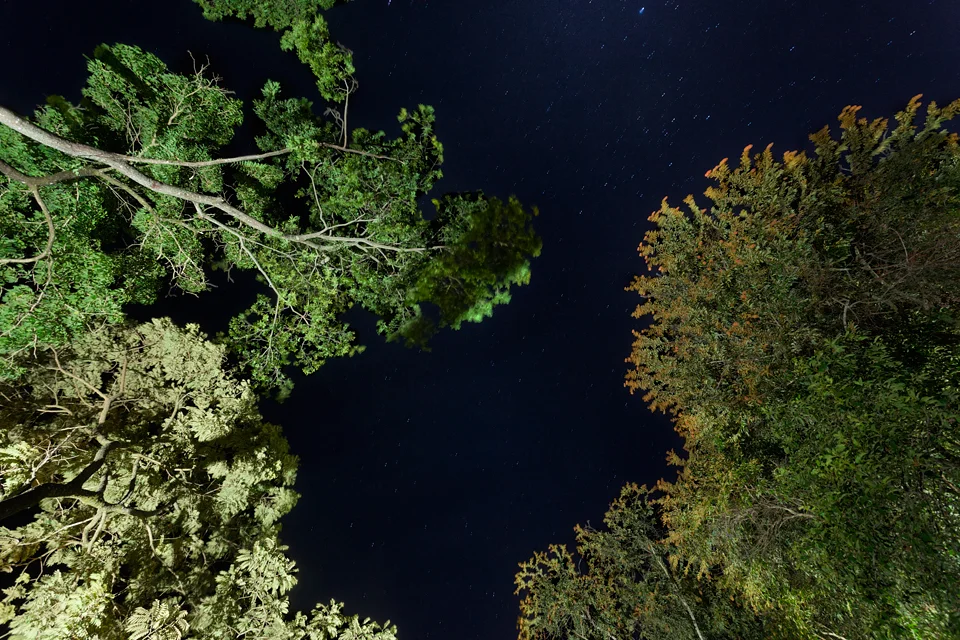 Iluminação de Paisagísmo