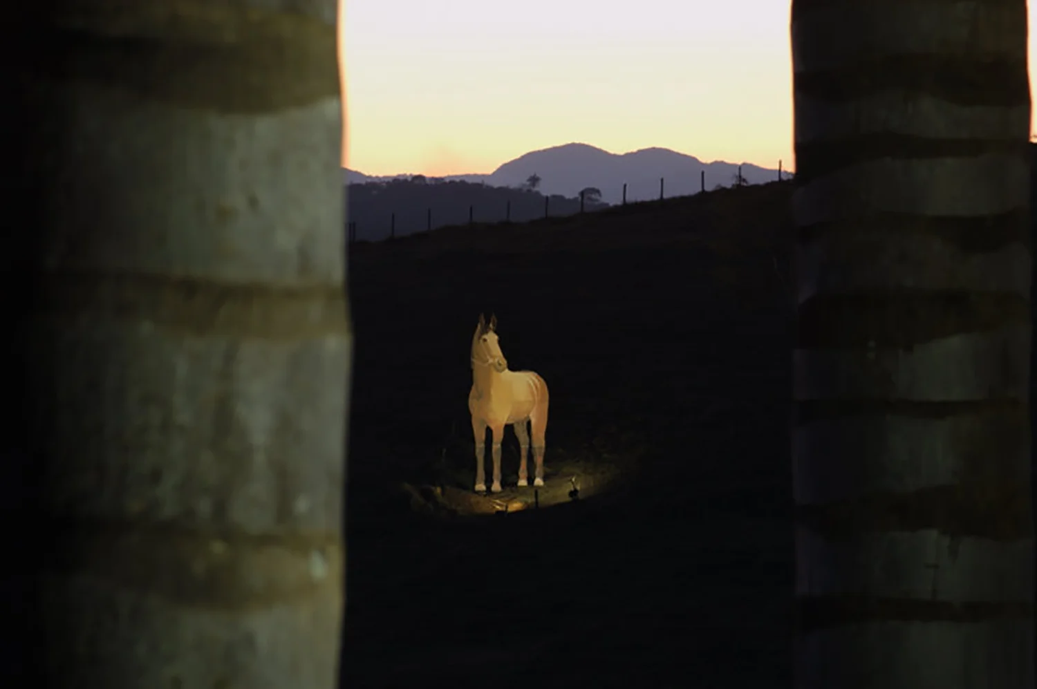 Iluminação de Haras
