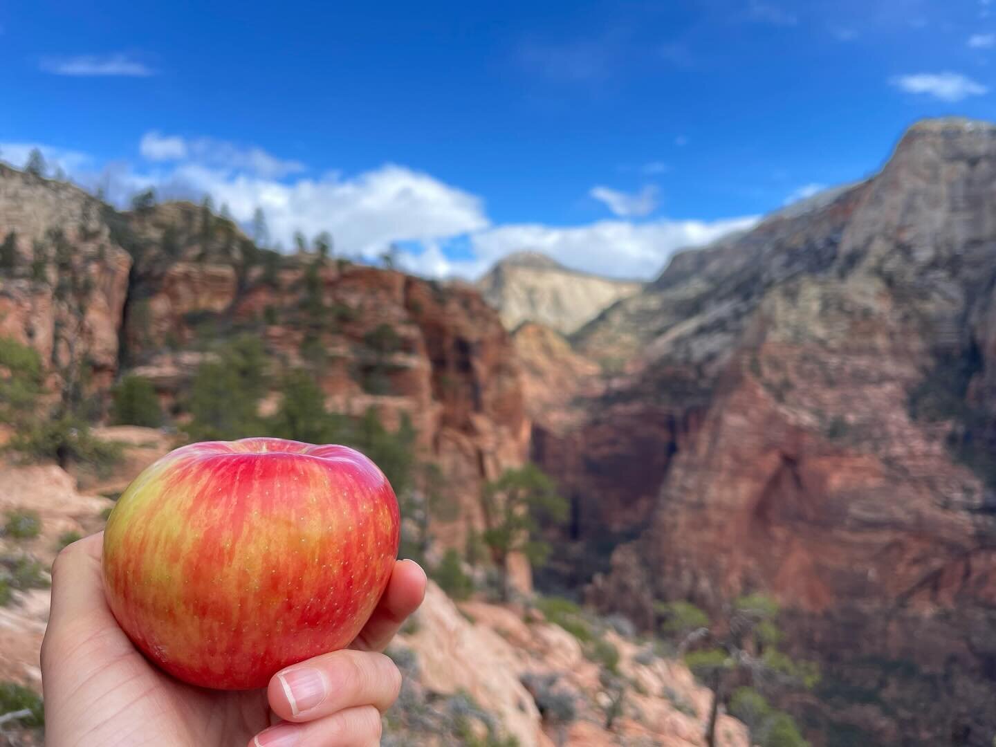 Spring break is right around the corner! 

Be sure to bring some healthy &amp; local PNW snacks on your next adventure 🍎

(Don&rsquo;t forget to follow Leave No Trace principles if you venture into our wonderful wild spaces - that includes apple cor