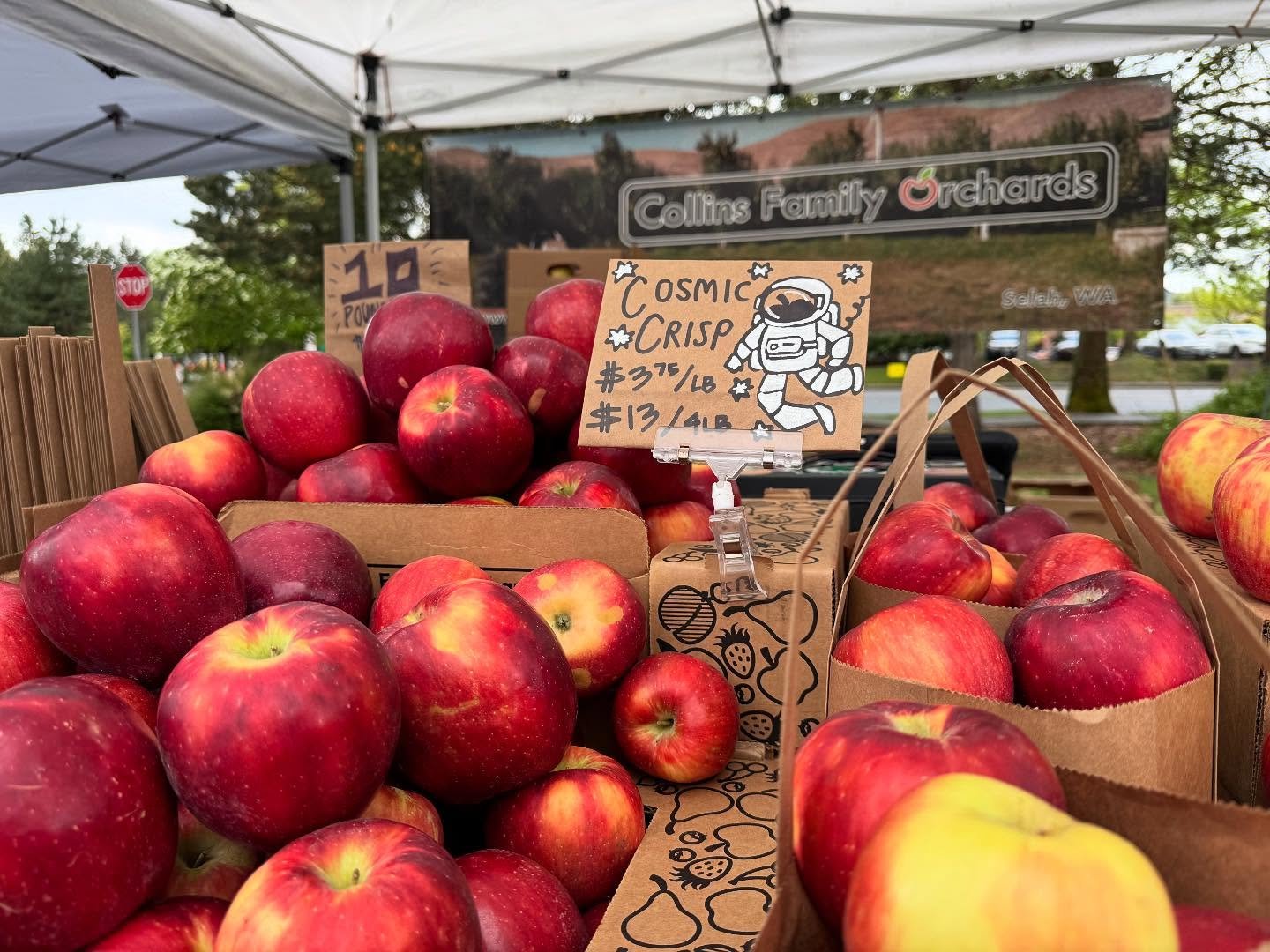 🍏✨ Crunch into freshness today! We&rsquo;ve got some amazing apples waiting for you at the farmers markets. Stop by and savor the crisp, sweet taste of our locally grown favorites. 🍎🌿

📍 Find us today at:
- Ballard Farmers Market
- Capitol Hill F