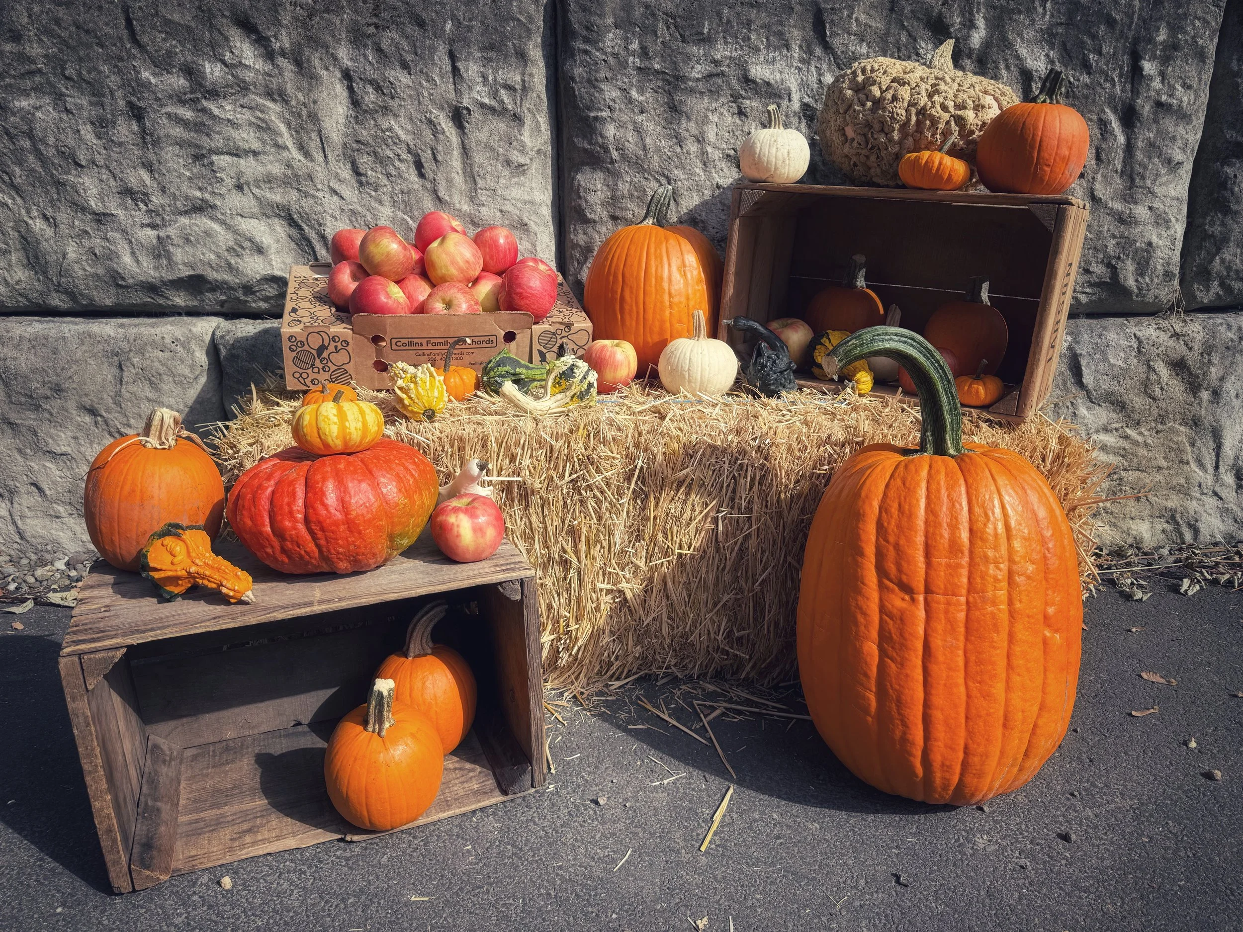 DAMN: It's Fall.