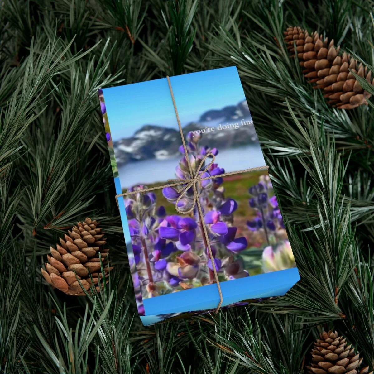 7c2271409376e782d1d4bb529fd9a267