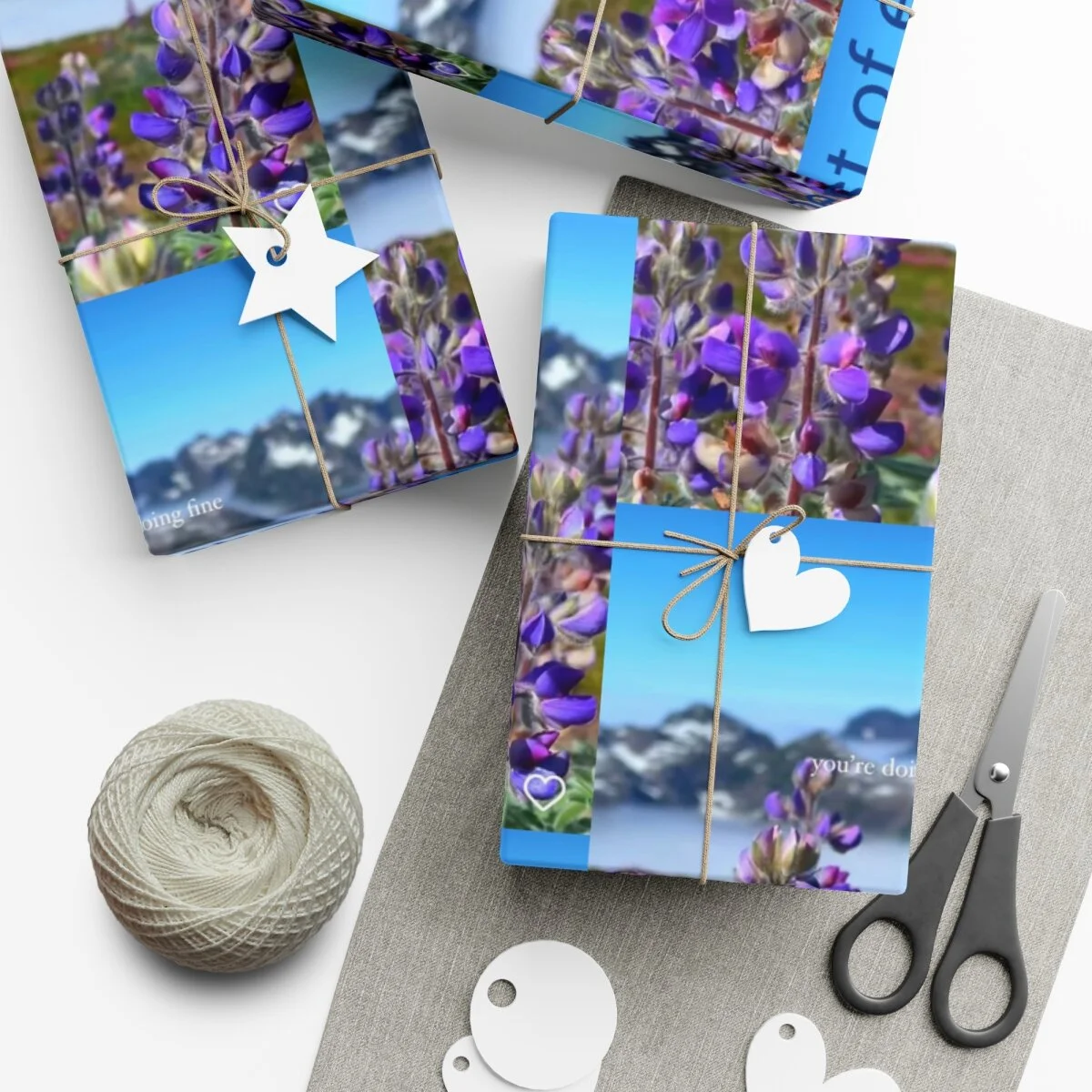 d3a20e6cd7fb5e636d76c671abe9f4e5