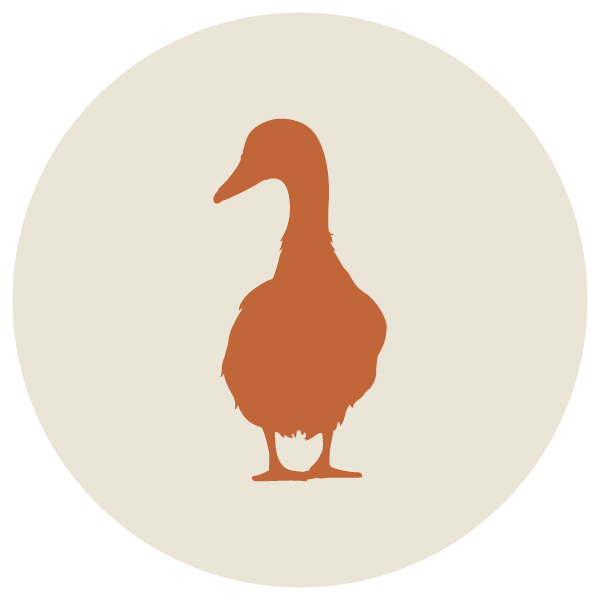 The Fat Duck Logo Early Days, But Fat Duck Tavern Knows Exactly Who It