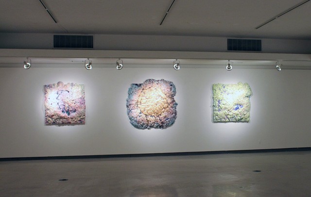 dan-lam-2014-can-i-touch-mfa-thesis-1.jpg