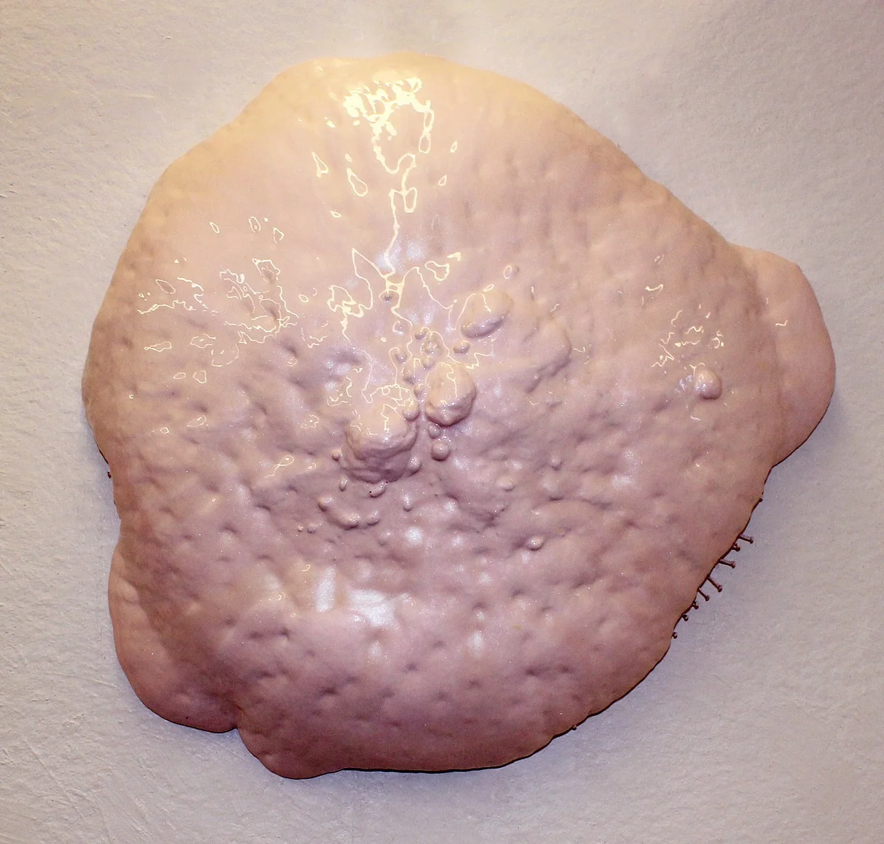 danlam-2012-pressure.jpg