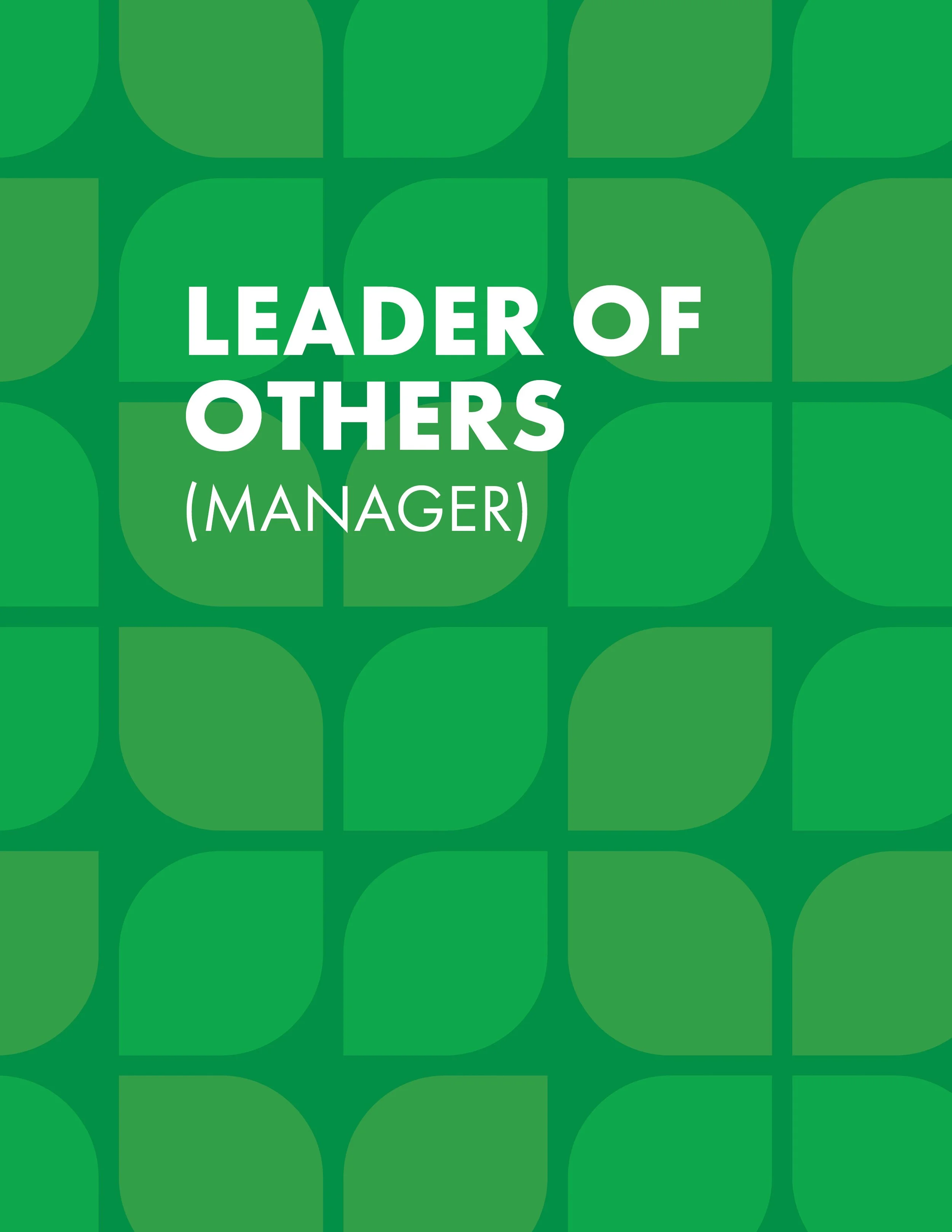Leadership Framework Booklet_Print_6-04 copy12.jpg
