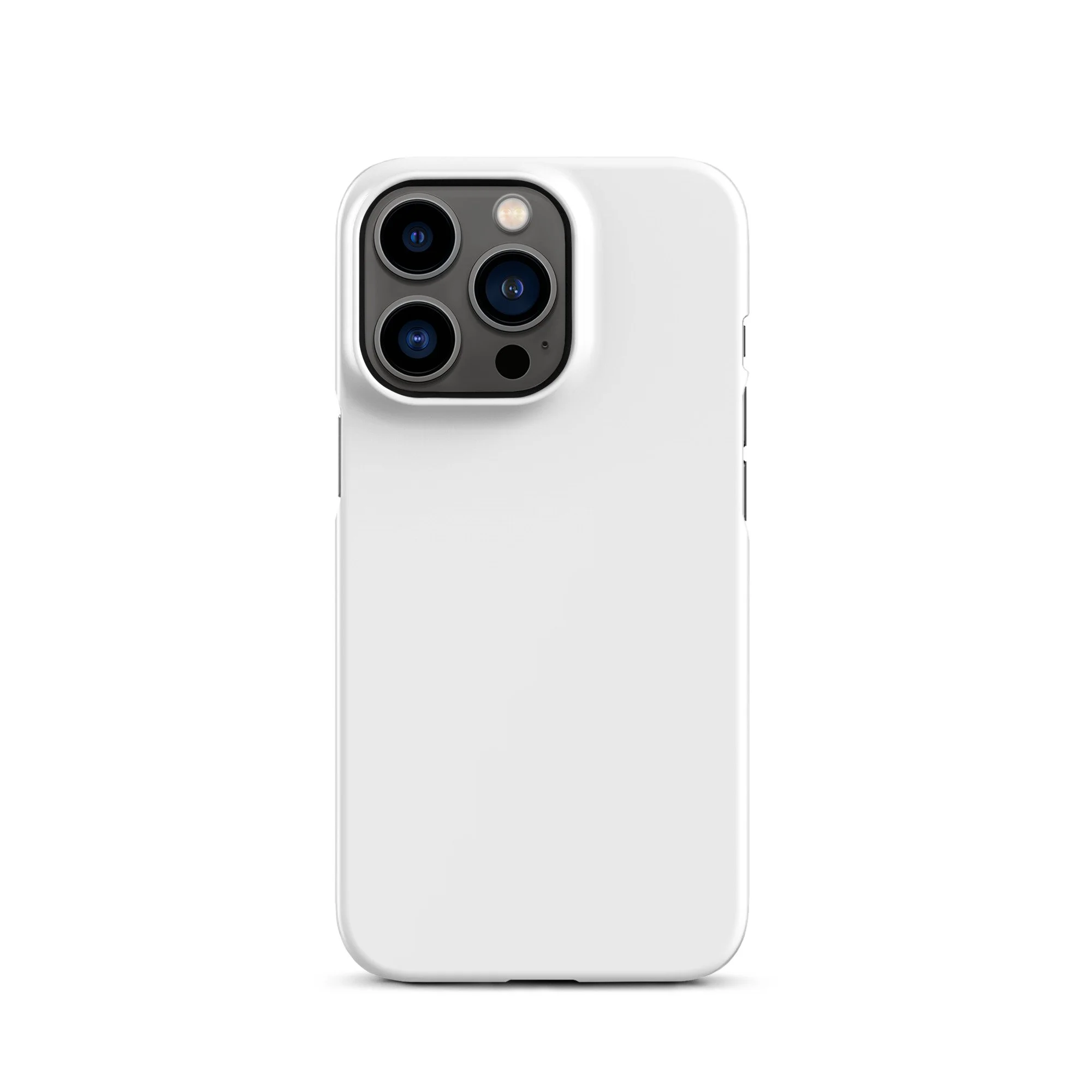 snap-case-for-iphone-matte-iphone-13-pro-front-6934a9a456265.jpg