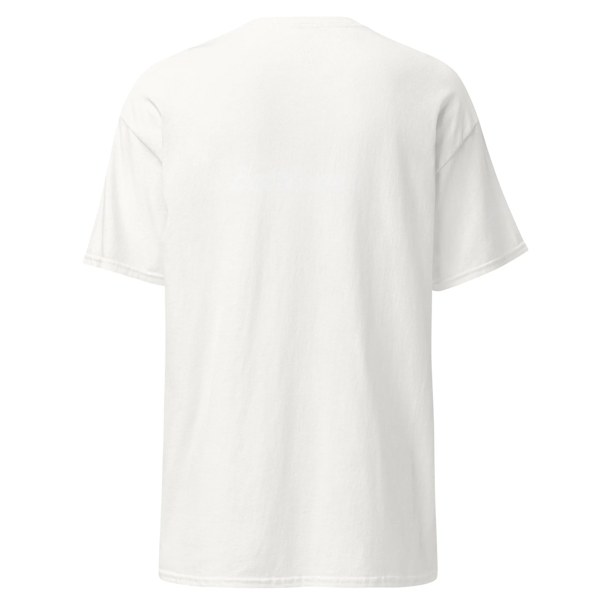 unisex-classic-tee-white-back-6934aa633f8e0.jpg