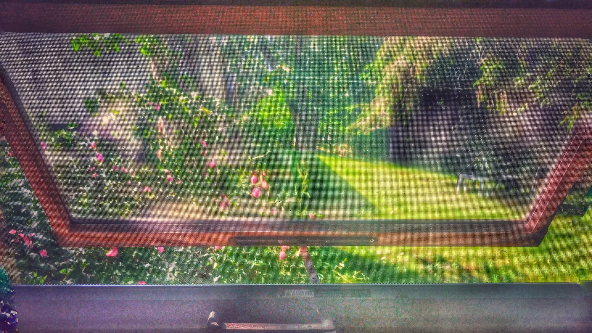 IMG_6349.jpg