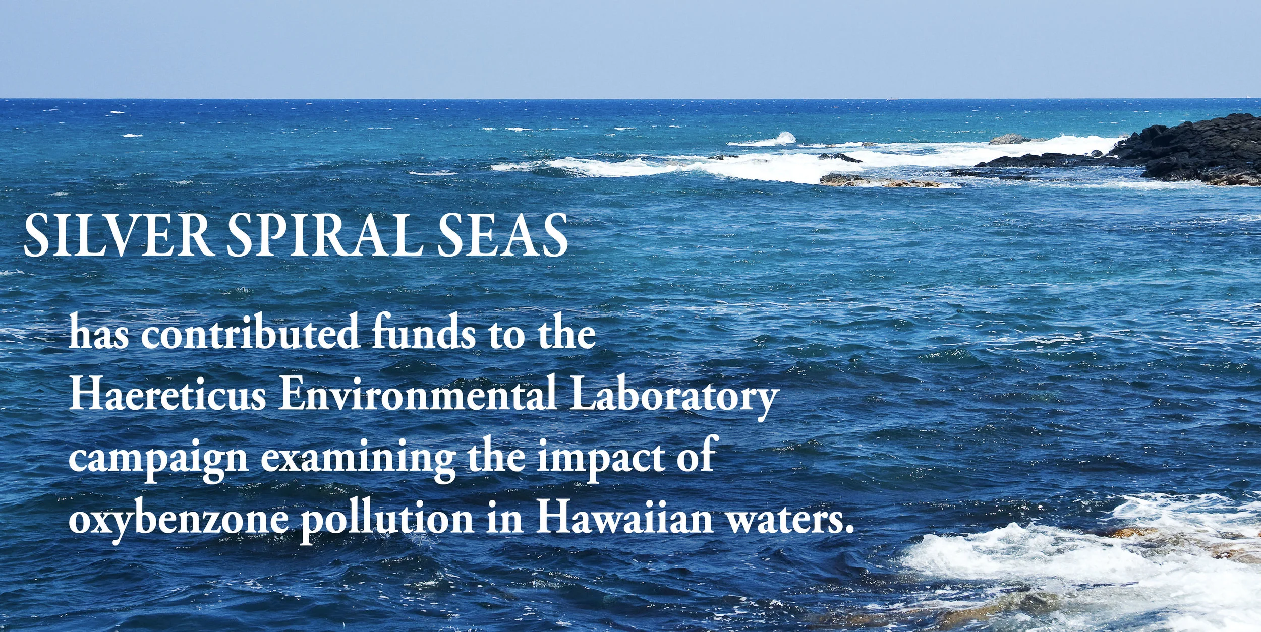 SSSeas Haereticus support page image 01C.jpg