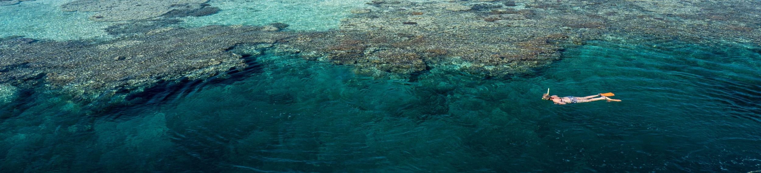 IYORBank_FRomAbove_MarkFitz_01.jpg