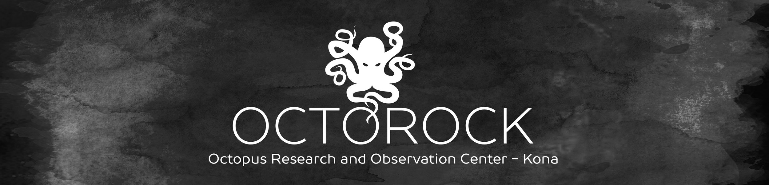 OCTOROCK Avatar 01a_LG_long.jpg