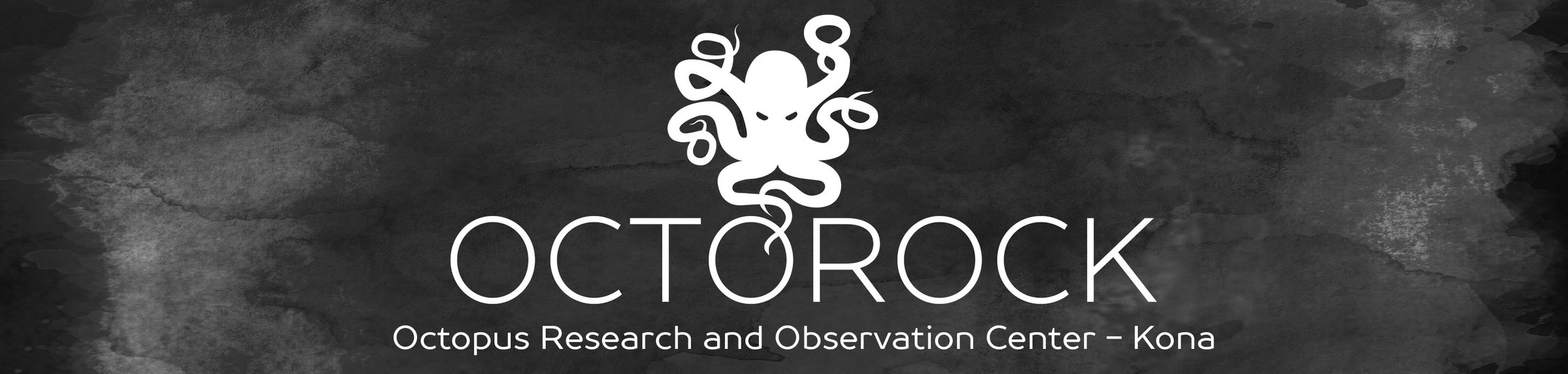 OCTOROCK Logo Banner 01a_thin.jpg