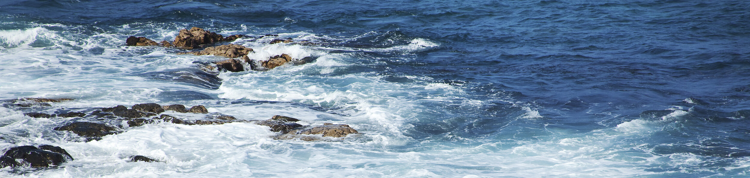 SSSeas Thin Page Banner Ocean.jpg