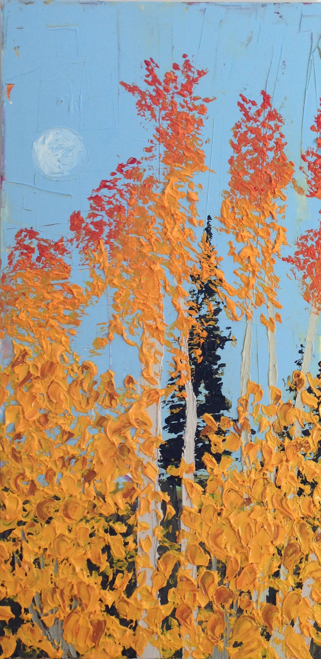 Fall Popplars.png