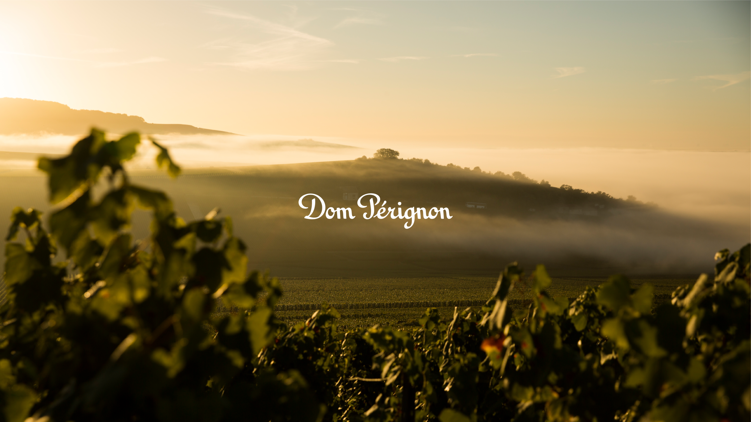 0024-Dom-Perignon-_2_high.width-1920x-prop.png