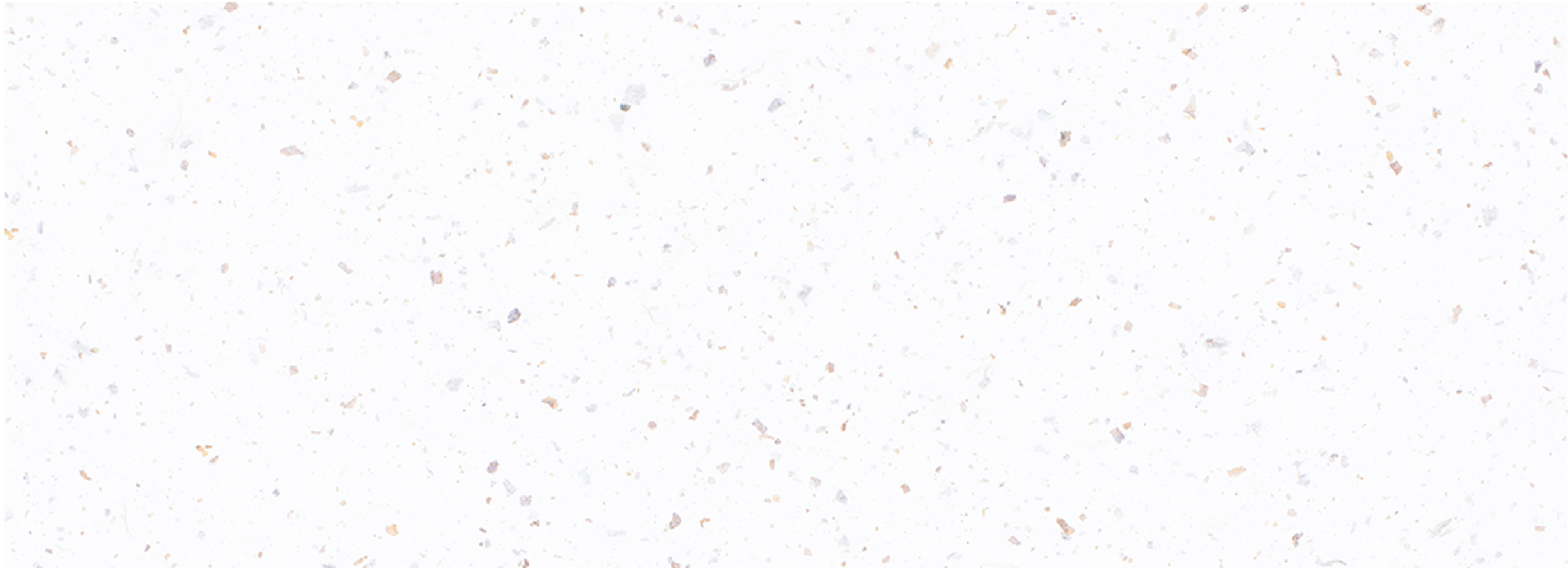 banner.png