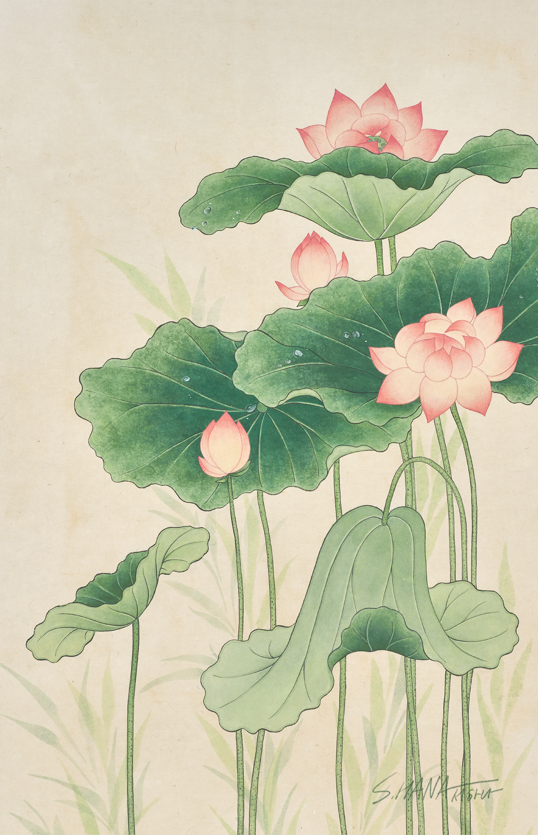 1_lotuses.png