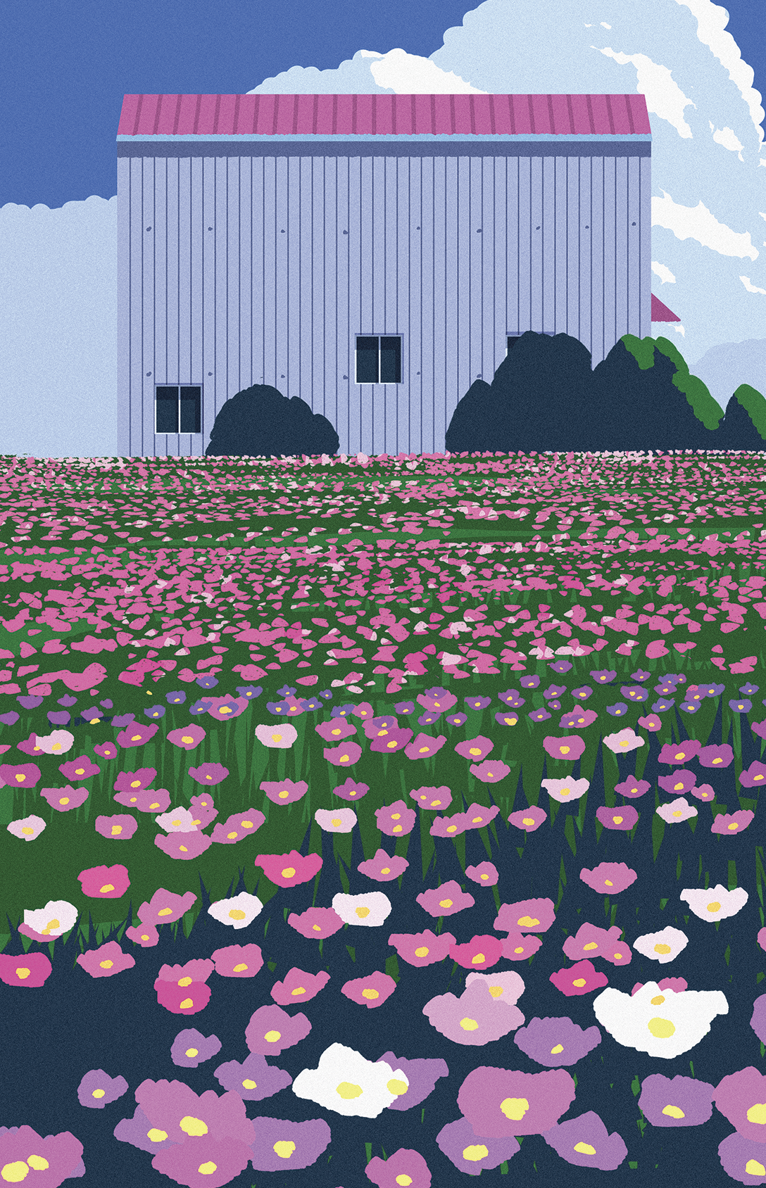 가파도 (Jeju, Gapado)