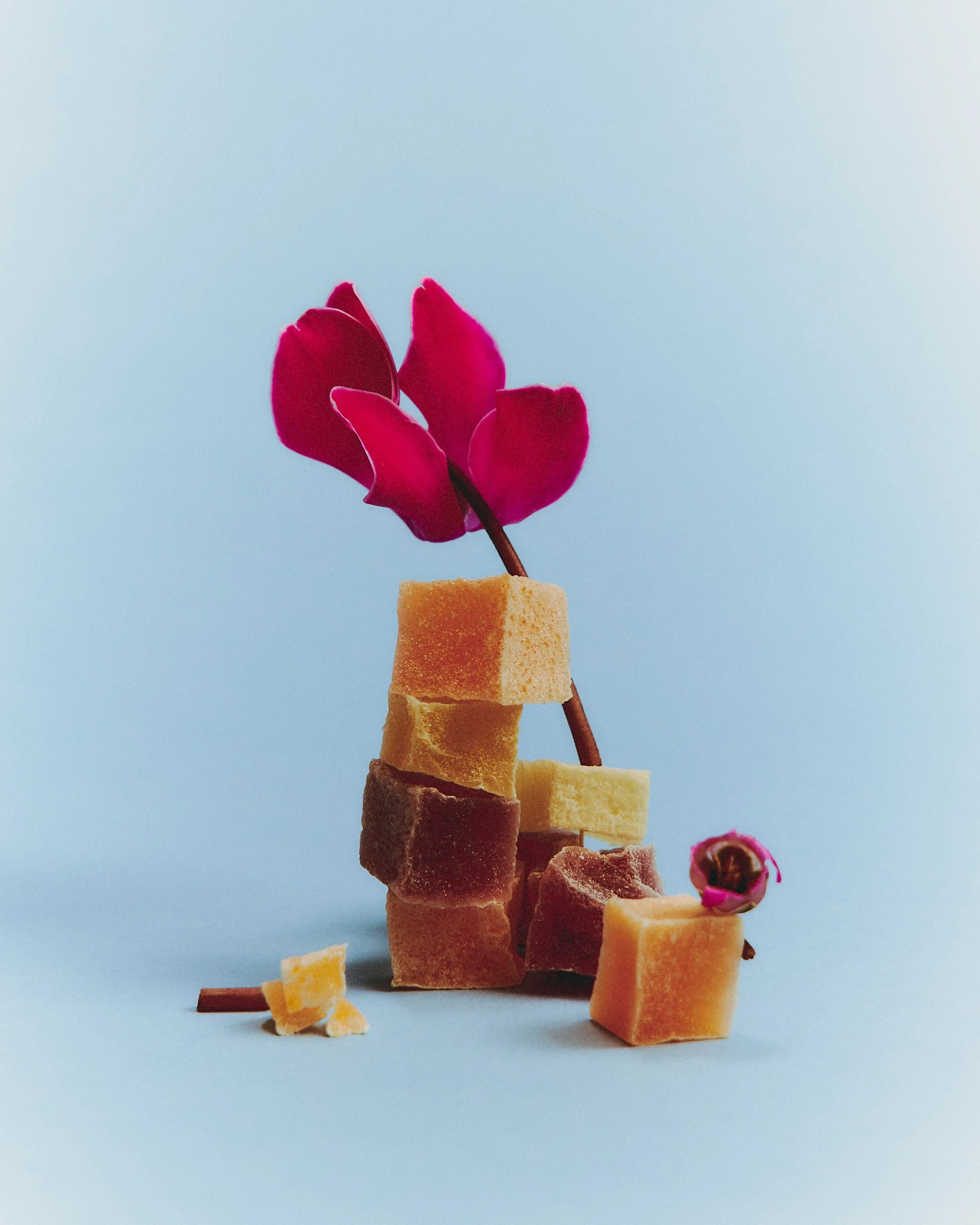  Candied Garden