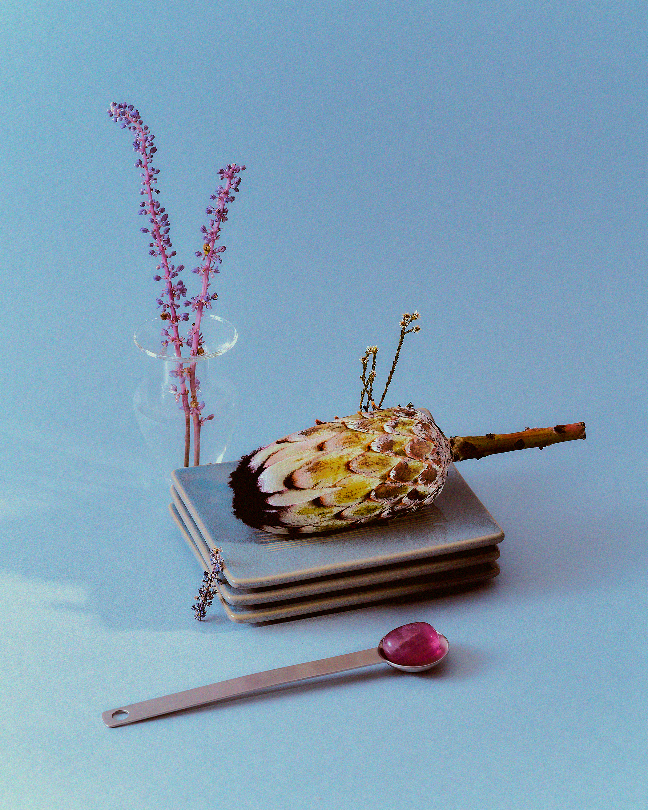 Garden Table(정원의 테이블).png