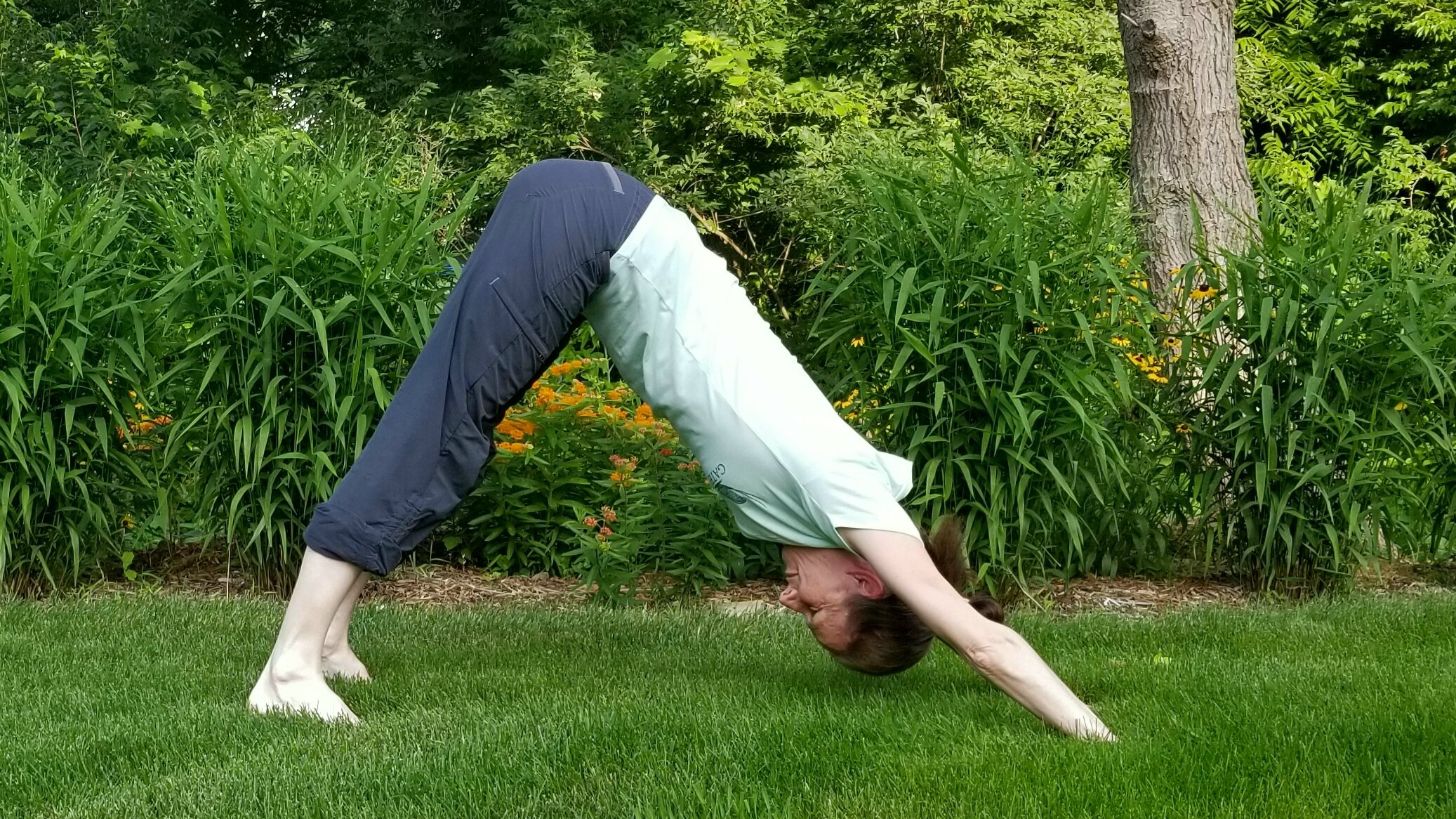 Preparation to adho mukha vrksasana full supported, Urdhva