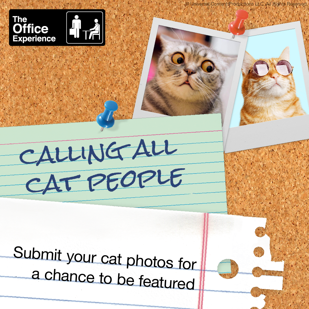 TOE_Social_Cat-Pictures-01.png