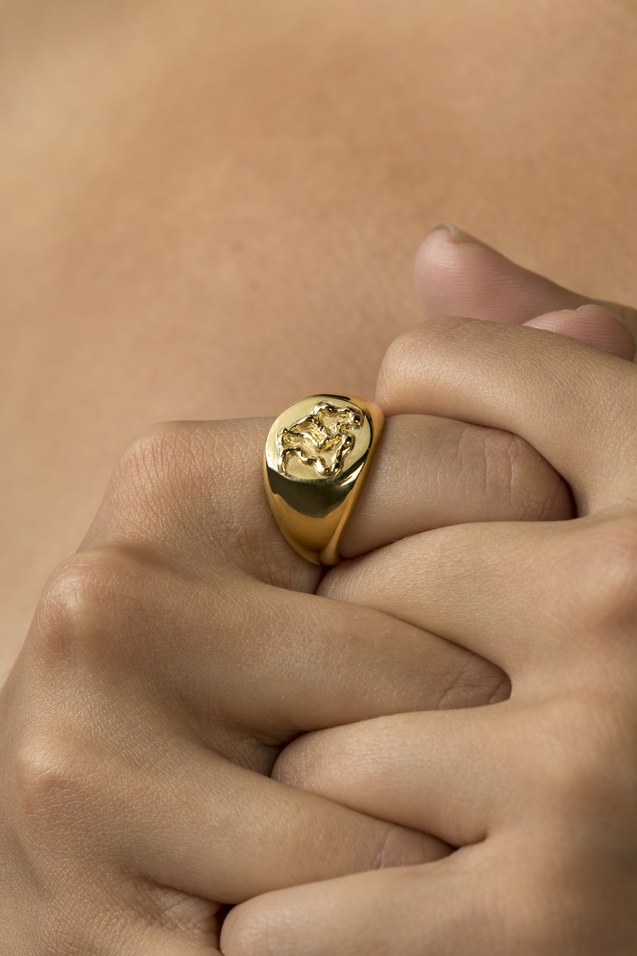 Diploria Unisex Signet Ring with hand model