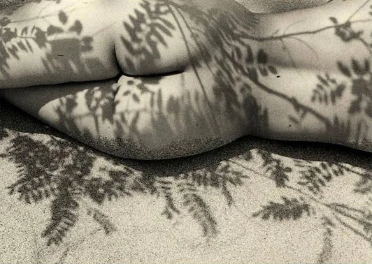 Kansuke Yamamoto (1956)