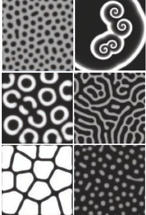 Turing Pattern