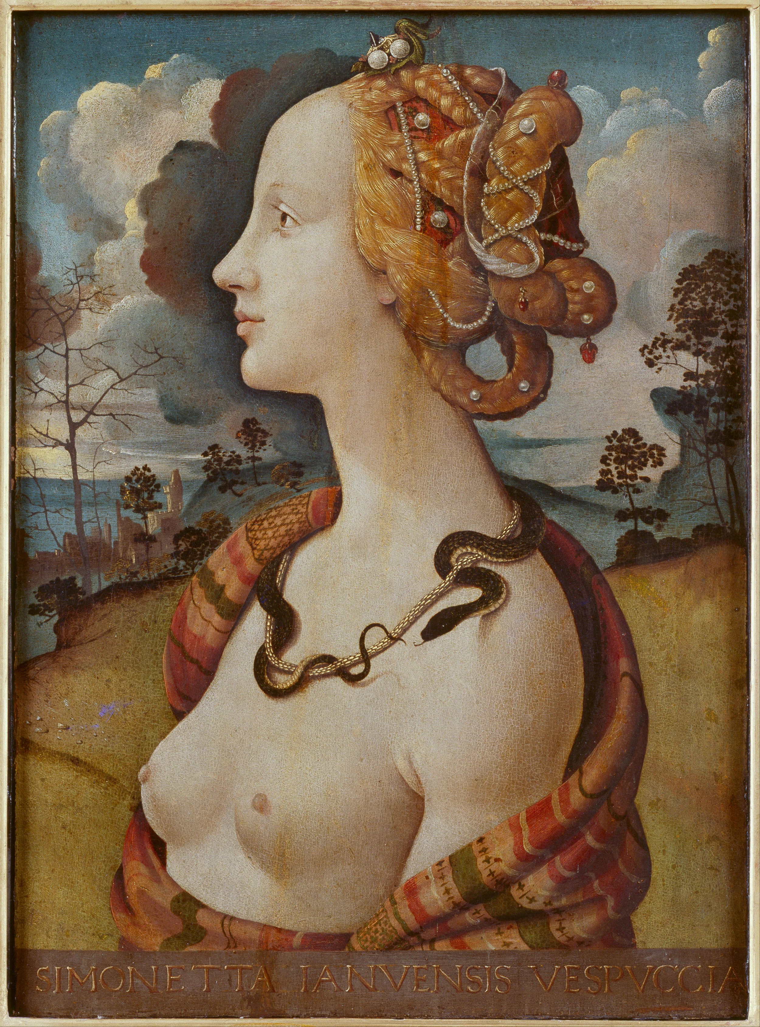 Portrait of Simonetta Vespucci - Piero di Cosimo (c.1490)