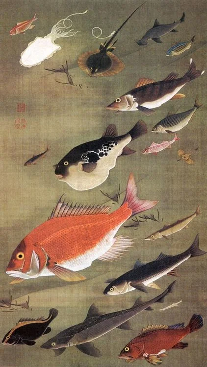 Itō Jakuchū (伊藤 若冲?, 1716–1800)