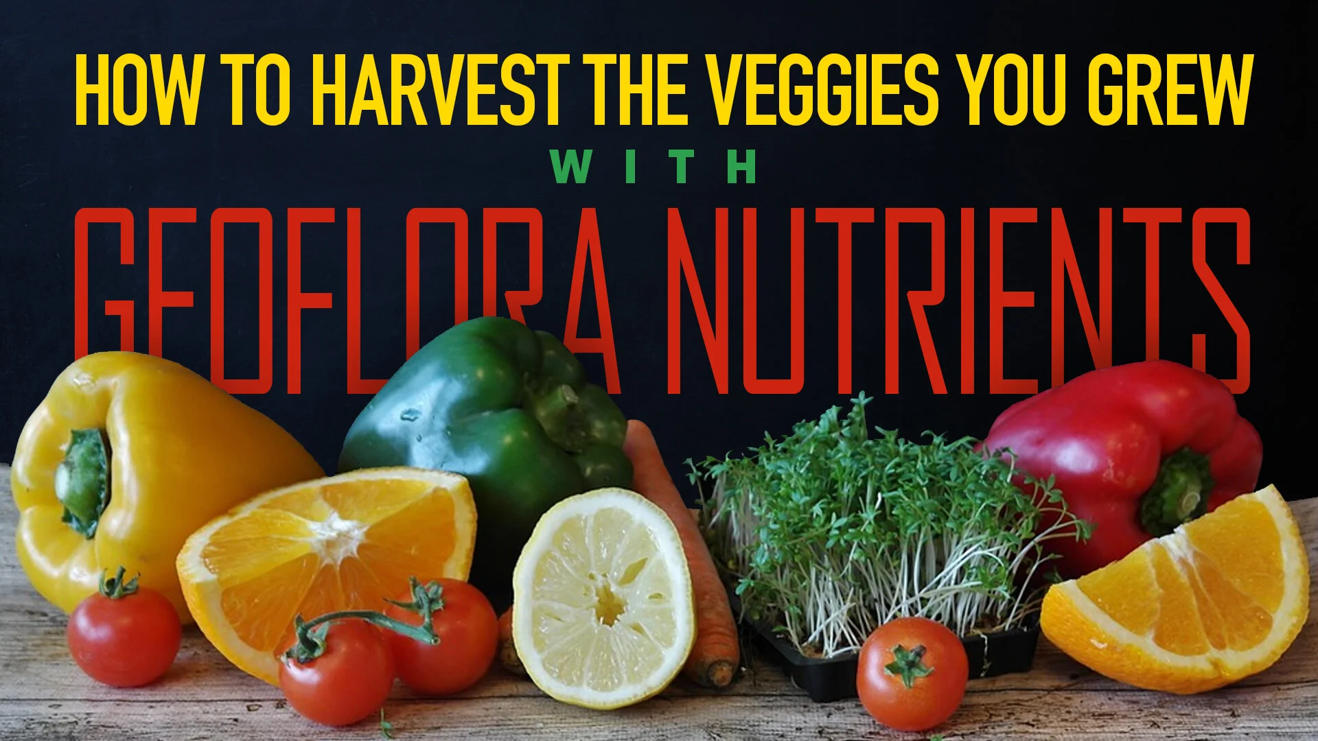 09_25_19_geoflora_harvesting_veggies.jpg