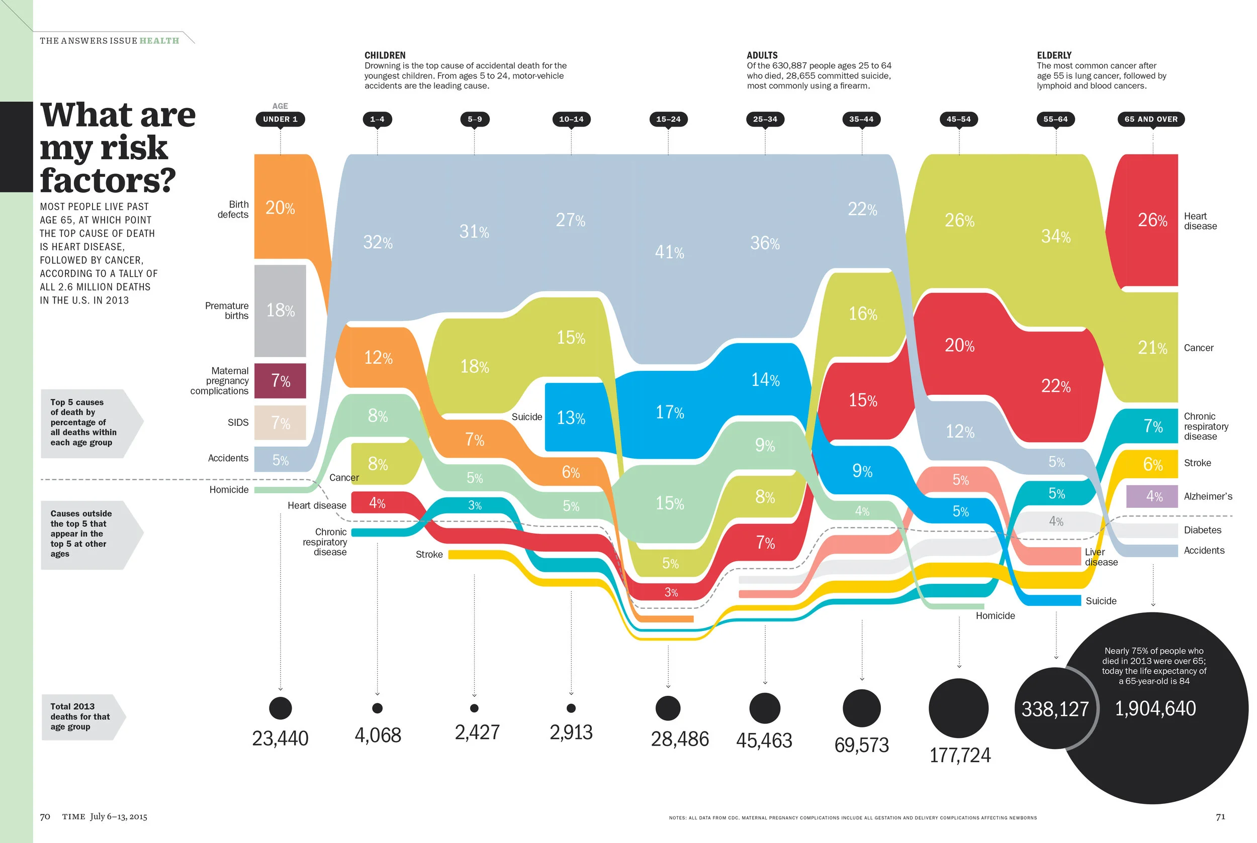 What We Die Of at Every Age, 2015
