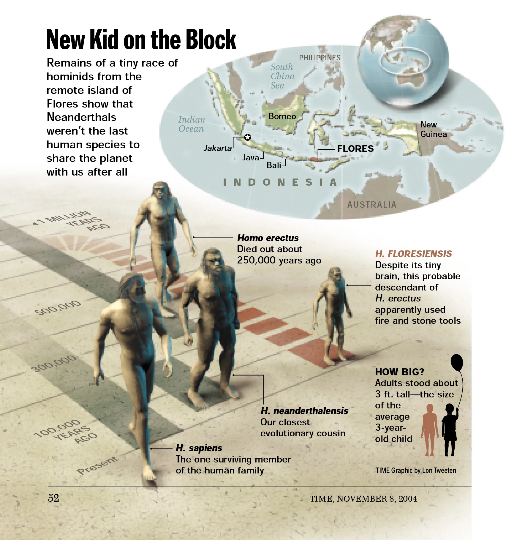 Hominid Early Man Discovery, 2004