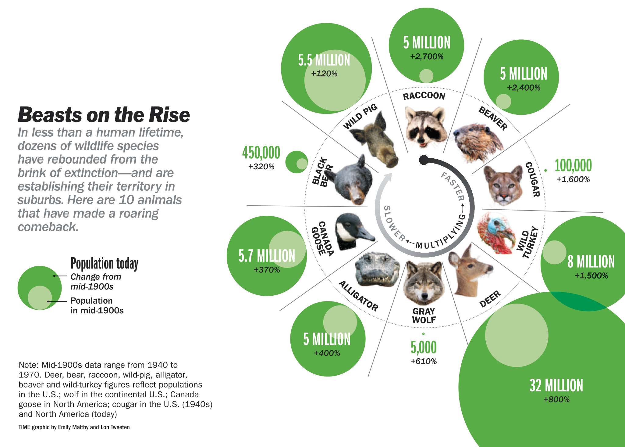 Surging Animal Populations, 2013