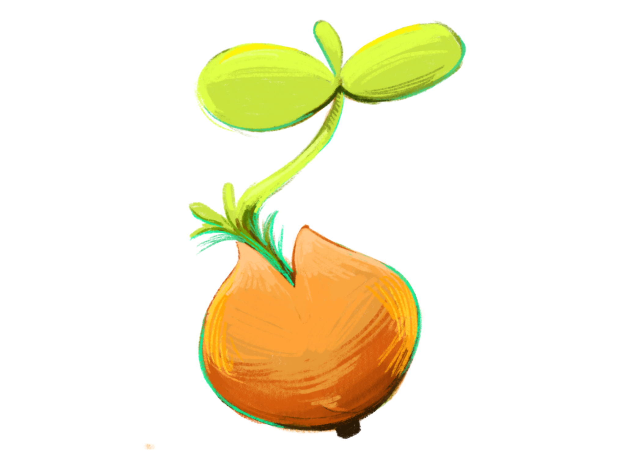 Image from iOS.png