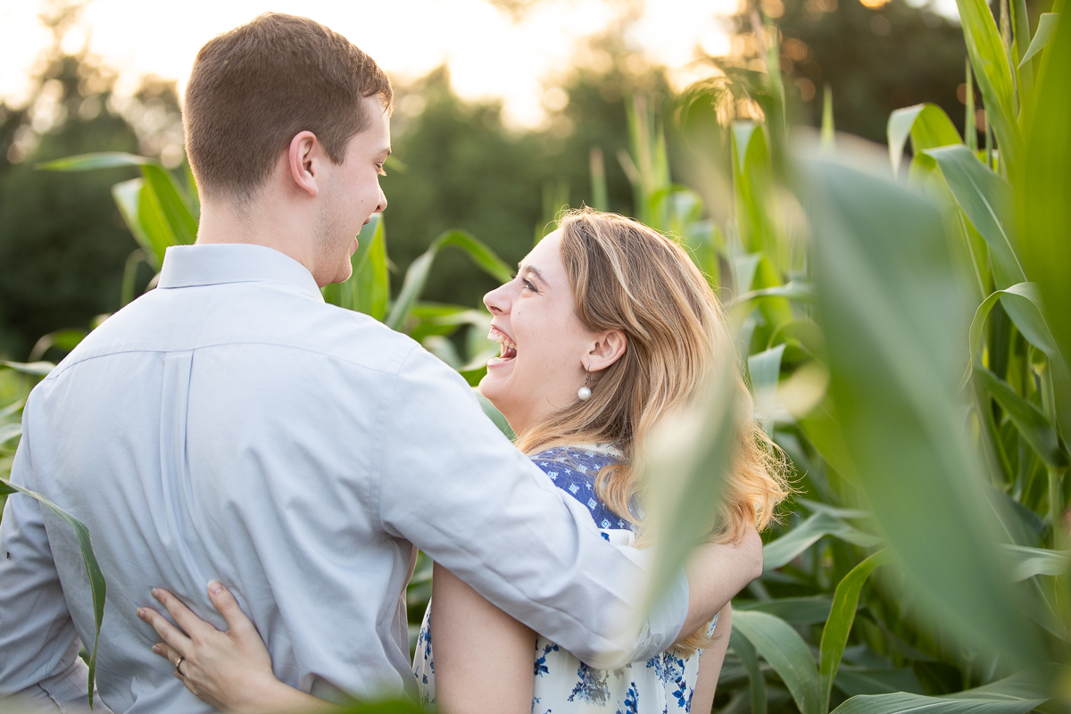 Golden hour engagement photo session in a corn field