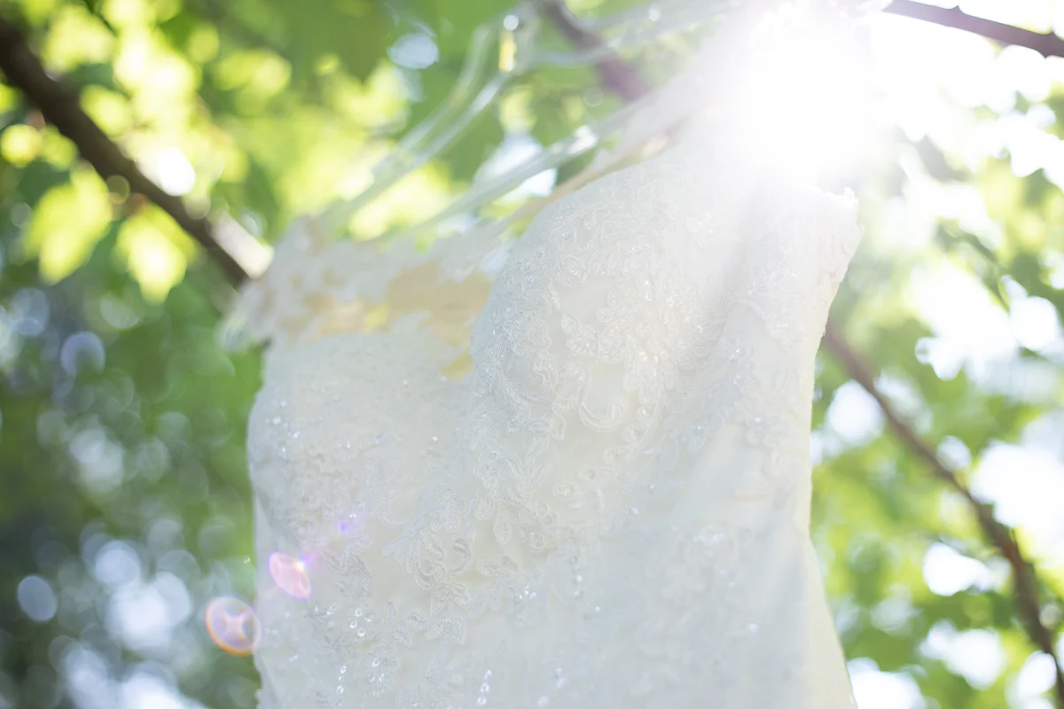 Wedding dress hanging in a tree.