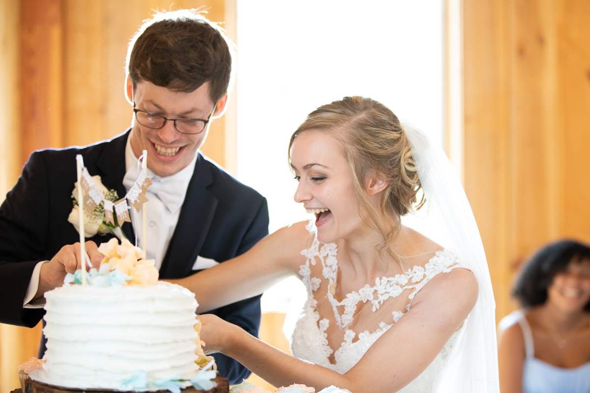 Bride and groom cutting the cake. 