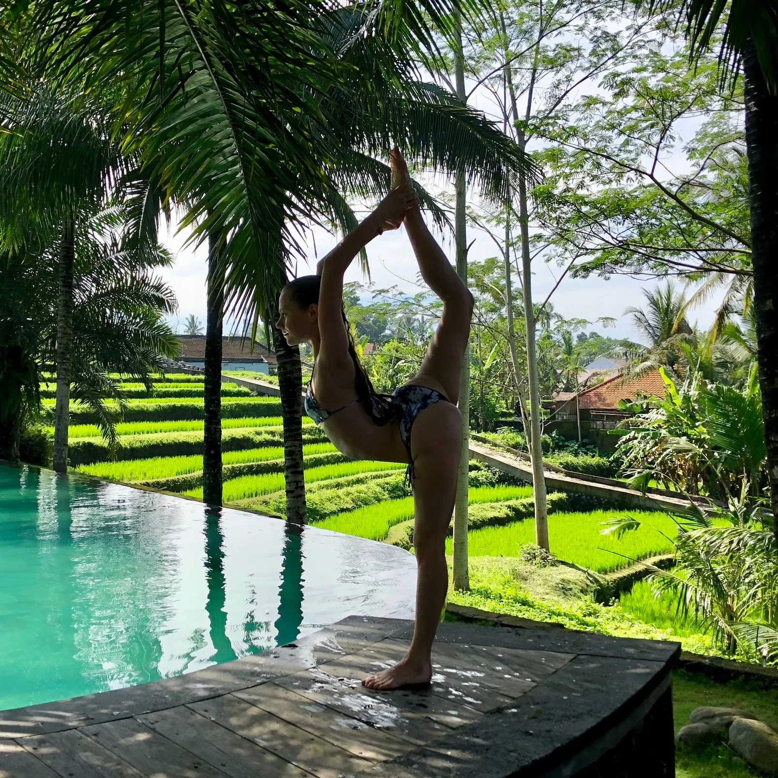 dancer pose / natarajasana