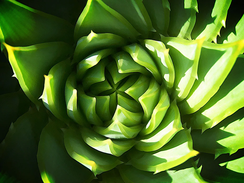 Etymology : Resilience 
