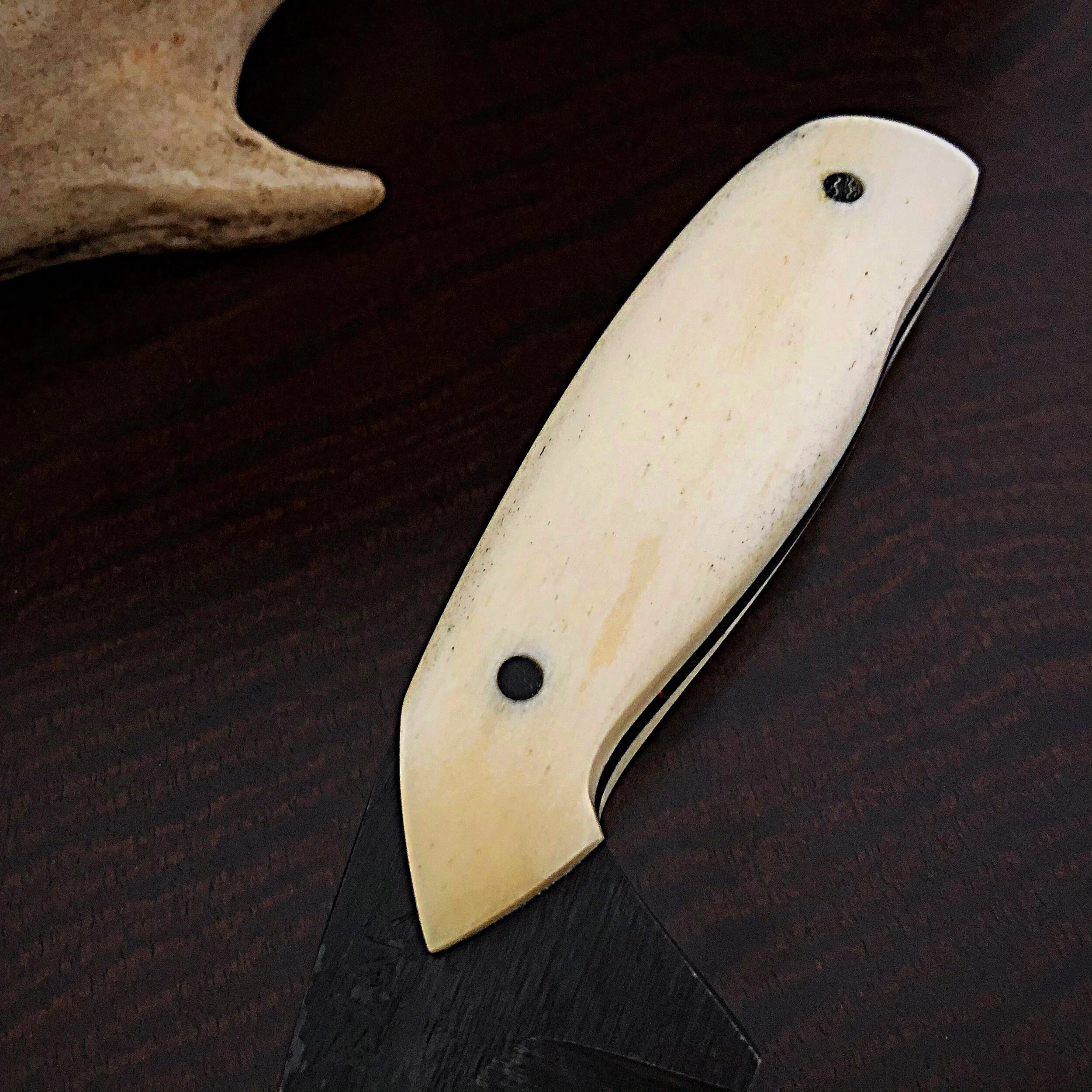 stubby camel bone 4.JPG