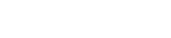 zyn22-logo.png