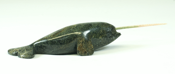 MP Narwhal.gif