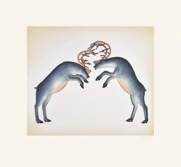 PNiviaqsi_RuttingCaribou.jpeg