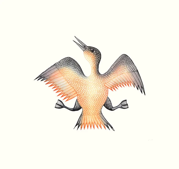 CPootoogook_JubilantBird.jpeg