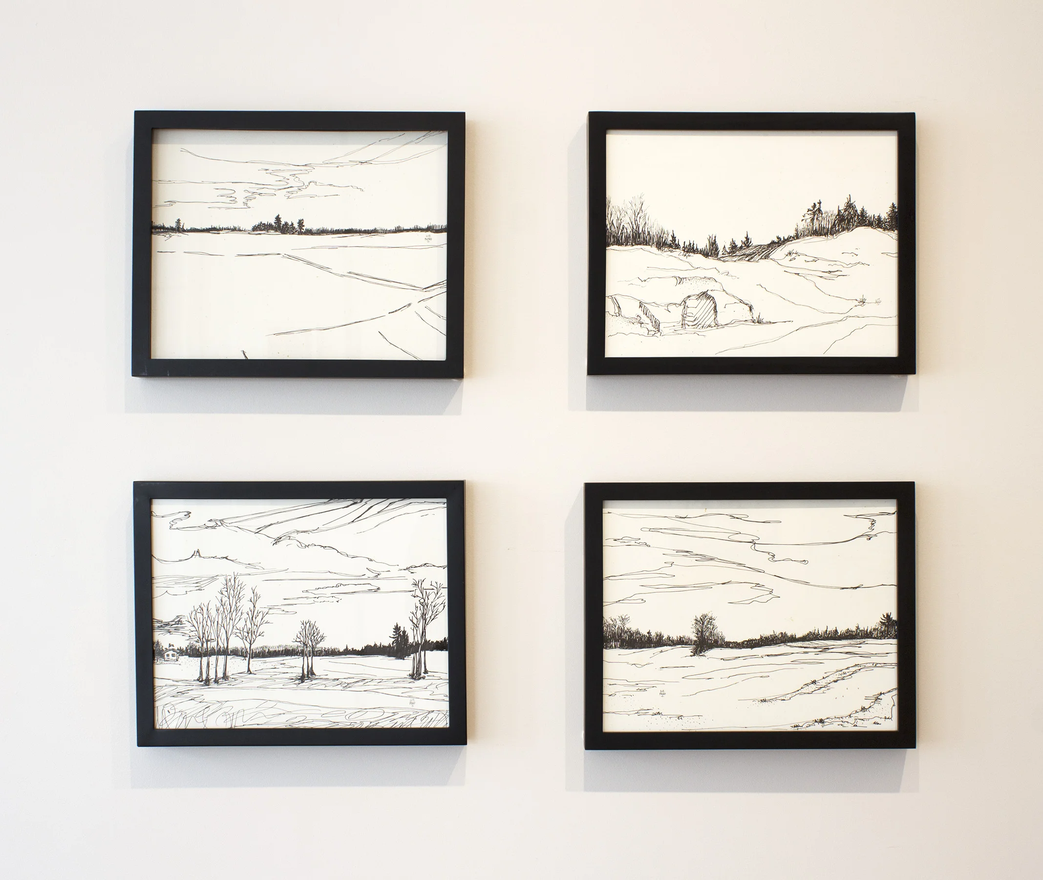 Liz Pead, Ink Drawings , installation view